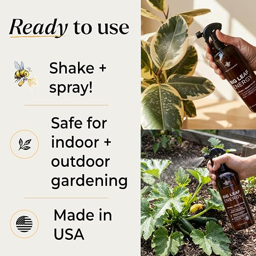 Neem Oil Spray for Plants – Big Leaf Energy + Essential Oils – Ready to Use Organic Plant Wash to Protect Outdoor & Indoor Plants, Made in USA (16 fl oz)