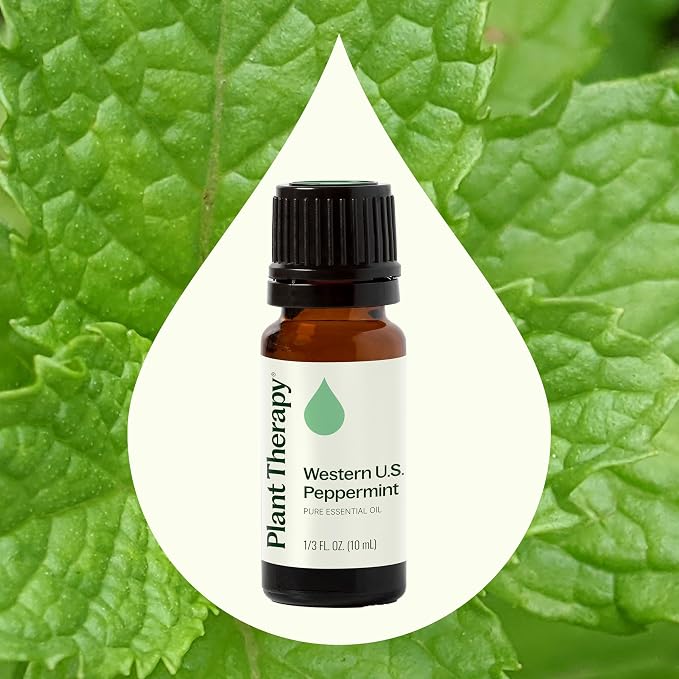Plant Therapy Peppermint Western U.S. Essential Oil 10 mL (1/3 oz) 100% Pure, Undiluted, Aromatherapy; Attention, Focus, and Cooling Relief