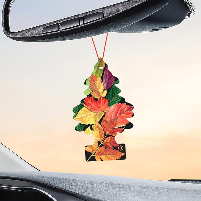 LITTLE TREES Car Air Freshener | Hanging Tree Provides Long Lasting Scent for Auto and Home | Crisp Autumn Air, 24 Air Fresheners