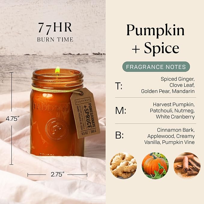 Paddywax Scented Candles Relish Collection Soy Wax Artisan Candle in Glass Jar with Lid, 9.5-Ounce, Pumpkin + Spice