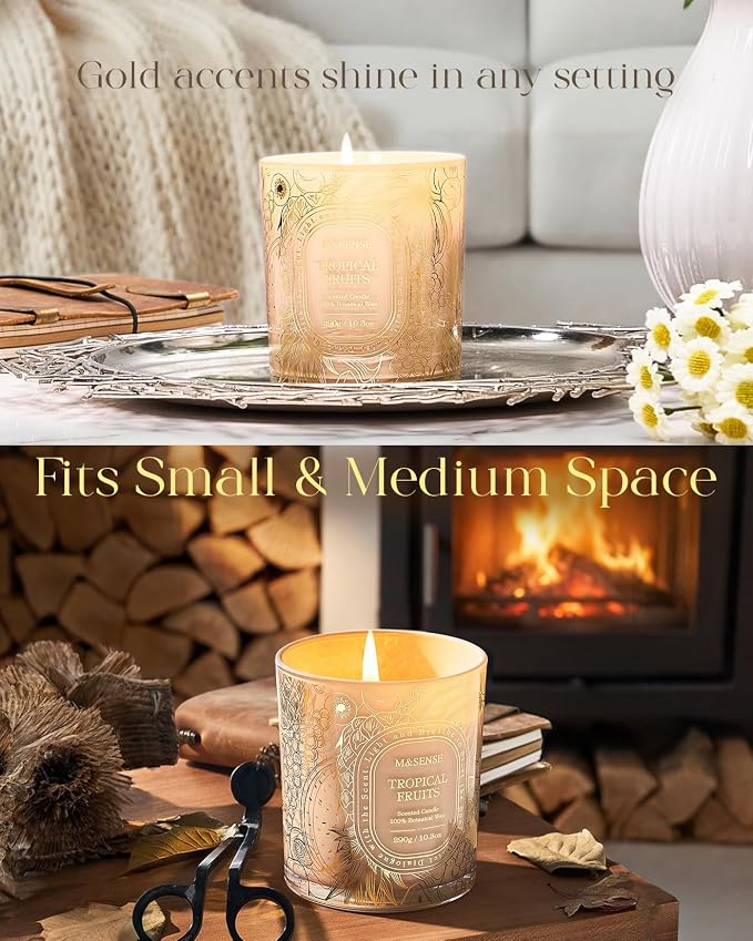 M&SENSE Fruit Party Soy Candle, Summer Relax 55H Gift | Berries & Citrus Party Mix, Clean Soy Wax Slow Burn, Kitchen Odor Exterminator, Family Safe, Reusable Golden Stamped Jar