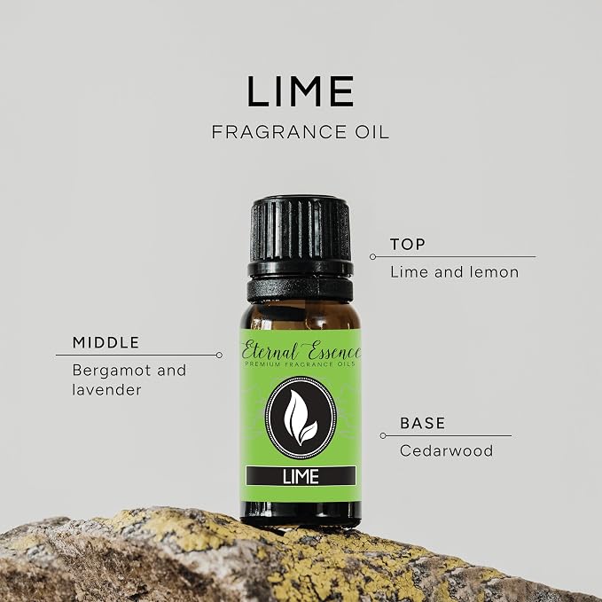 Lime Premium Grade Frangrance Oil - 10ml - Scented Oil