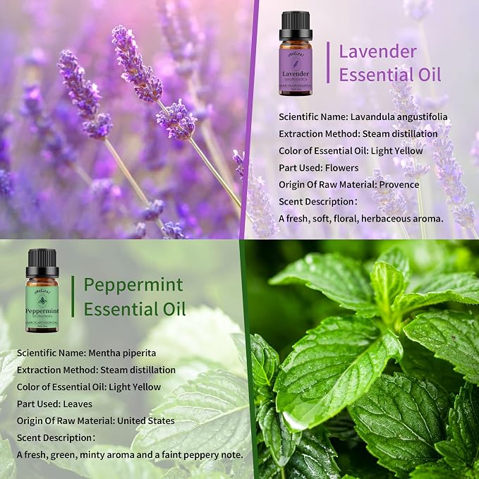yethious Lavender Peppermint Oil Set Lavender Aromatherapy Oils for Diffuser, Perfume, Soap, Candle Making 2 Pack 10ML