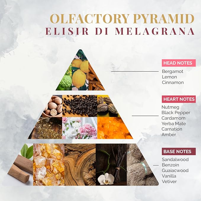 Logevy Firenze 1965 Elisir Di Melagrana – Pomegranate Elixir Luxury Home Fragrance Diffuser with Floral & Fruity Notes in Elegant Glass Bottle with 12 Natural Bamboo Reeds – 500ml