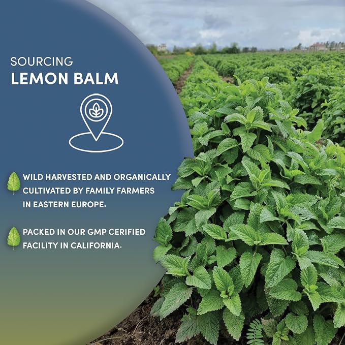 Worldwide Botanicals Organic Lemon Balm Tea, 1Lb - Loose Leaf Premium Herbal Tea | 100% Pure Lemon Balm Leaves | For Stress Relief and Good Digestion | Kosher
