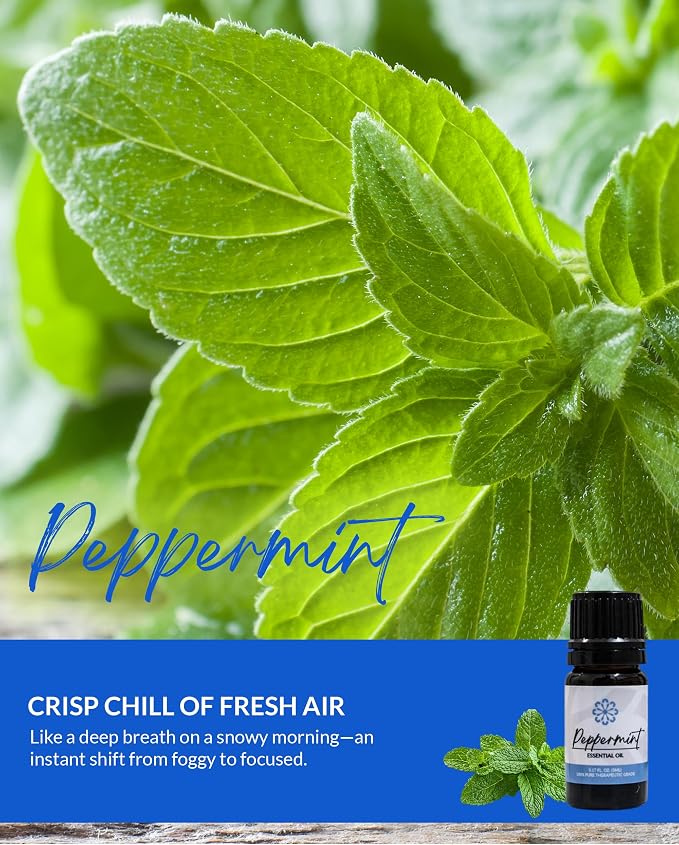 Essence Pearl Travel Case | Peppermint Essential Oil | Aromatherapy Nasal Diffuser & Essential Oil Carrying Case | Invigorating Peppermint Scent | Travel-Friendly Kit | Black Pod