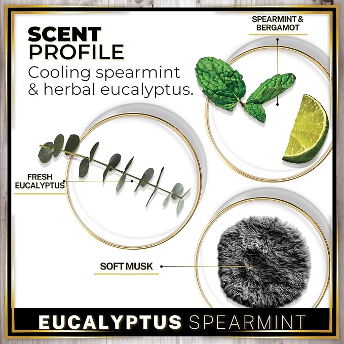 Urban Naturals Car Air Freshener Diffuser 3 Pack - Eucalyptus Spearmint Scent, 45+ Days Long Lasting Fragrance, Made in USA, Glass & Wood, Hanging Design + Vent Cip, Easy to Use