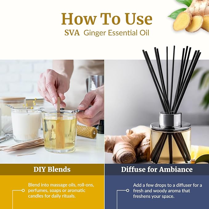 SVA Ginger Essential Oil – 4 Fl Oz – 100% Natural Ginger Oil - for Diffuser, Hair Care, Face, Skin Care, Aromatherapy, Scalp and Body Massage, Soap and Candle Making – with Dropper
