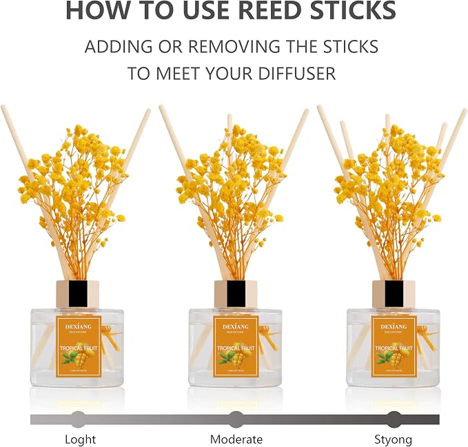 Reed Diffuser Set - 3.38 fl oz Tropical Fruit Premium Scented Oil with Preserved Baby's Breath & Cotton 6 Sticks | Long-Lasting Aromatherapy for Home, Bedroom, Bathroom, Office Home Decor