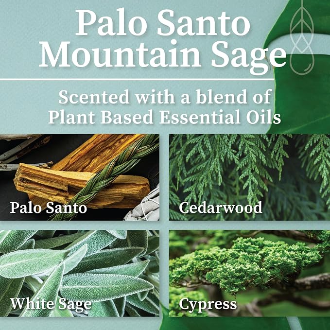 Hemlock Park Palo Santo Mountain Sage Apothecary Scented Candle | Crackling Wood Wick, Botanical Fragrance & Coconut Apricot Wax | Up to 60 Hour Burn Time | 8 oz | Made in USA