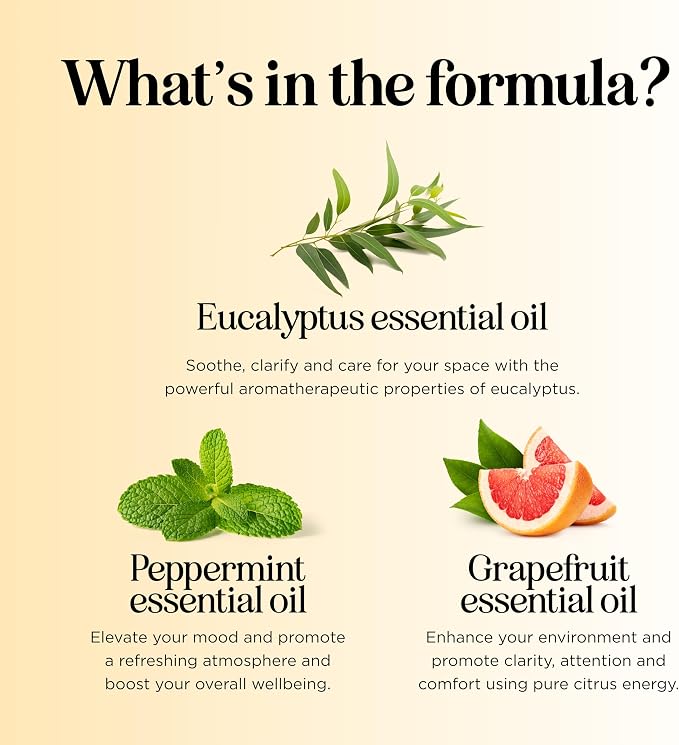 Focus Essential Oil Roll On - Aromatherapy Essential Oil Roller with Invigorating Pure Citrus and Mint Oils - Attention and Focus Essential Oil Blend with Eucalyptus Peppermint & Grapefruit (1 Pack)