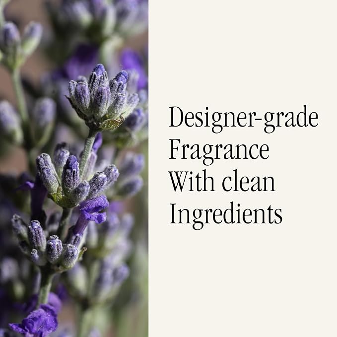 Pura & Brooklyn Candle Studio Home Scent Refill - Smart Home Air Diffuser - Up to 120-Hours of Luxury Fragrance per Refill - Home Essential - Clean & Safe Diffuser Fragrance - 2 Pack, Love Potion