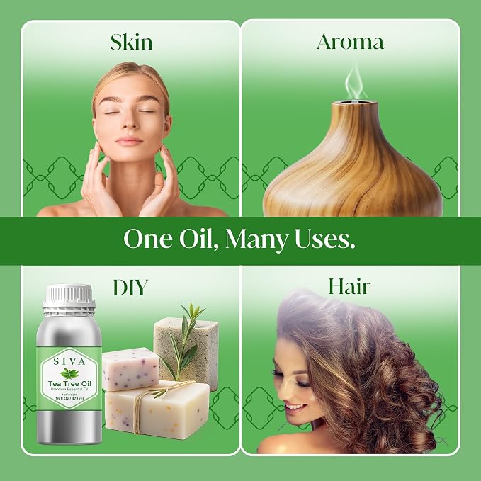 Siva Tea Tree Essential Oil 16 Fl Oz – for Diffuser, Skin & Hair Care – Ideal for Aromatherapy, Massage & DIY Blends