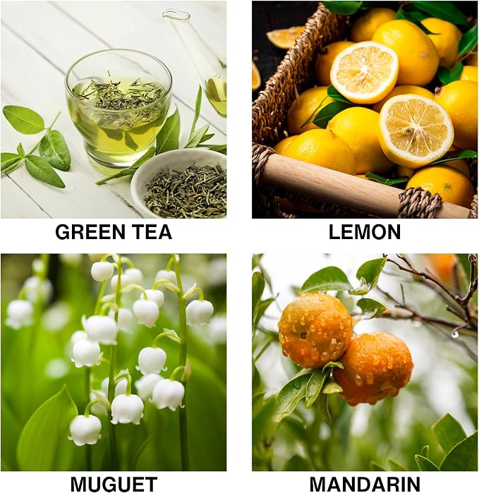 Tea Garden Bliss Scent Reed Diffuser – Aromatherapy Diffuser with Green Tea, Mandarin, Lemon & Muguet – Long-Lasting Home Fragrance for Relaxation & Serenity – 50ml