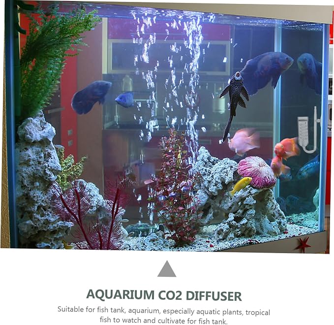 Milisten Transparent Diffuser Device for Aquarium Promotes Aquatic Plant Growth Durable Glass Material Easy to Install Carbon Dioxide Diffusion System for Fish Tank
