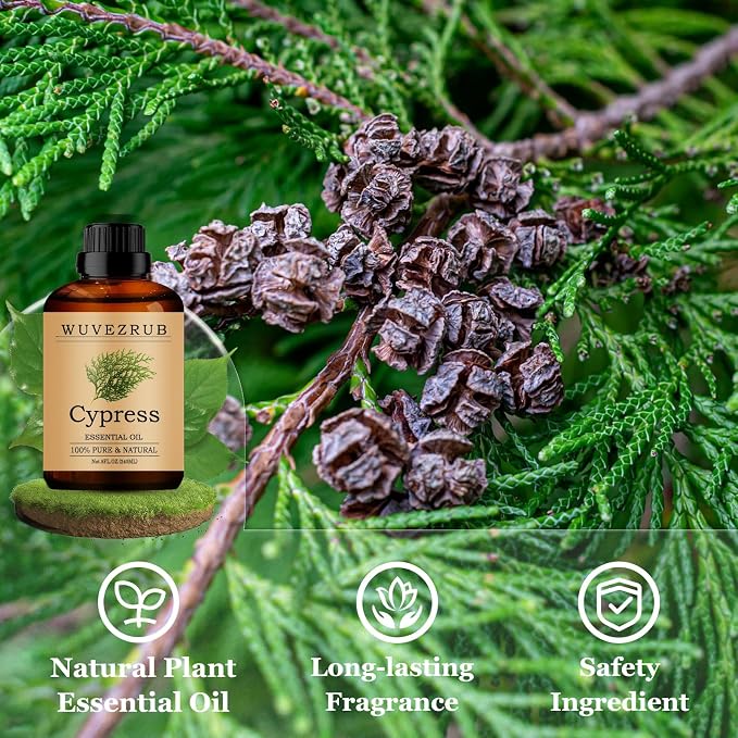 Cypress Essential Oils 240ML, Pure Cypress Essential Oil for Aromatherapy Diffuser - 8 Fl Oz