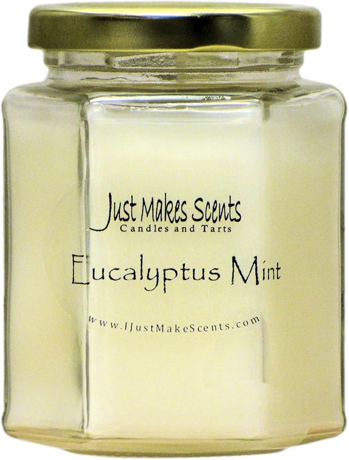 Eucalyptus Mint Scented Blended Soy Candle | Aromatherapy Stress Relief | Hand Poured in the USA by Just Makes Scents (8 oz)