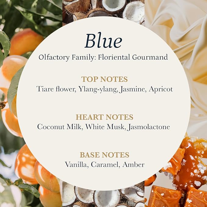 Blue Aroma Oil for Scent Diffuser, Diffuser Refill (500ml / 16 Fl Oz)