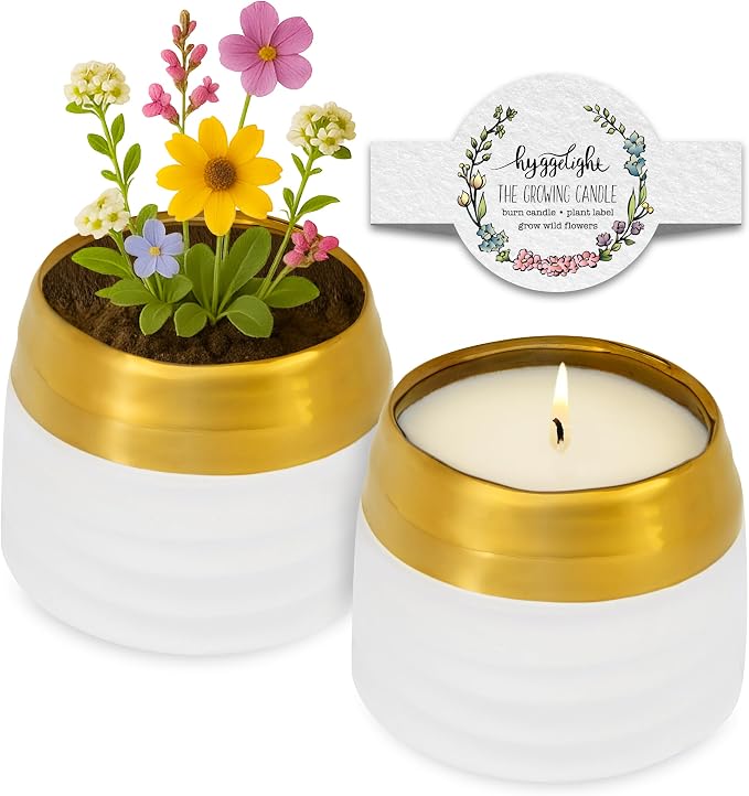 Hyggelight - The Growing Candle, Mint & Eucalyptus Scented, 10oz Ceramic Pot, Aromatherapy Candles, 100% Soy, Clara