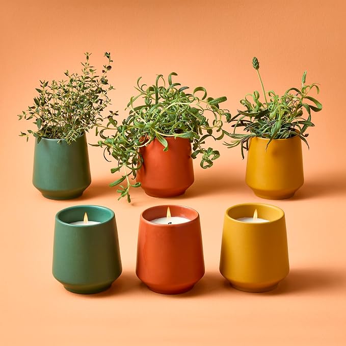Modern Sprout - 2 in 1 Scented Candles with Seeds that Grows into Plants - 6 oz Soy Candle with 42 hr Burn time in Matte Glaze Ceramic Vessel - Rosemary, Thyme, & Lavender - Pack of 3