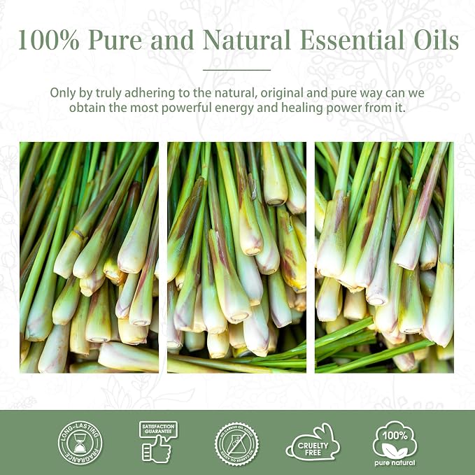 PHATOIL 100ML Citronella Essential Oil, for Aromatherapy Diffusers, Humidifiers, Great for DIY Candle and Soap Making, Gift for Friend