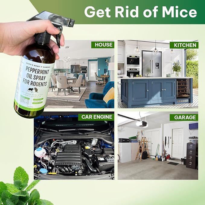 Kate Naturals Peppermint Oil Spray for Rodents, Mouse, Bat, Rat, Car Engines, Mice (16oz, Non-Toxic Rodent Repellent, Pet Safe)