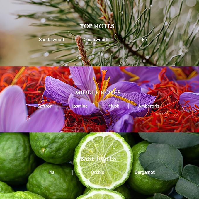 AROMADD AROMADD Blacktail Ridge Hotel Diffuser Oil Inspired by Luxury Hotel Collection Scent, Woody Sandalwood & Fir Aroma, Premium Fragrance Oil for Waterless Diffuser,Long-Lasting,3.38 fl oz(100 mL)