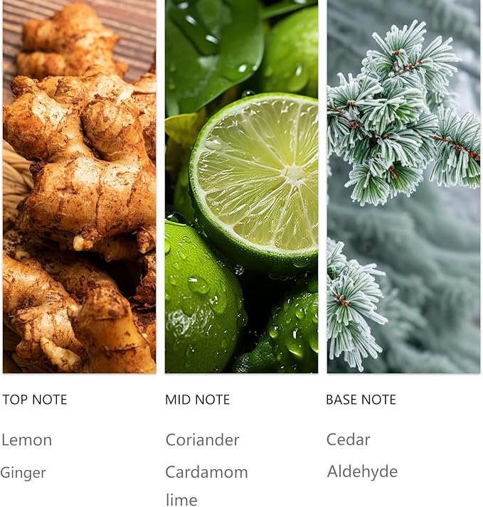 Lemon Essential Oil 20ML Sampler- Aromatherapy Scented Oils for Waterless Diffuser, Note Ginger Spice Oils Uplifting Citrus Cedar Hotel Aroma Scent for Home, Office, Car