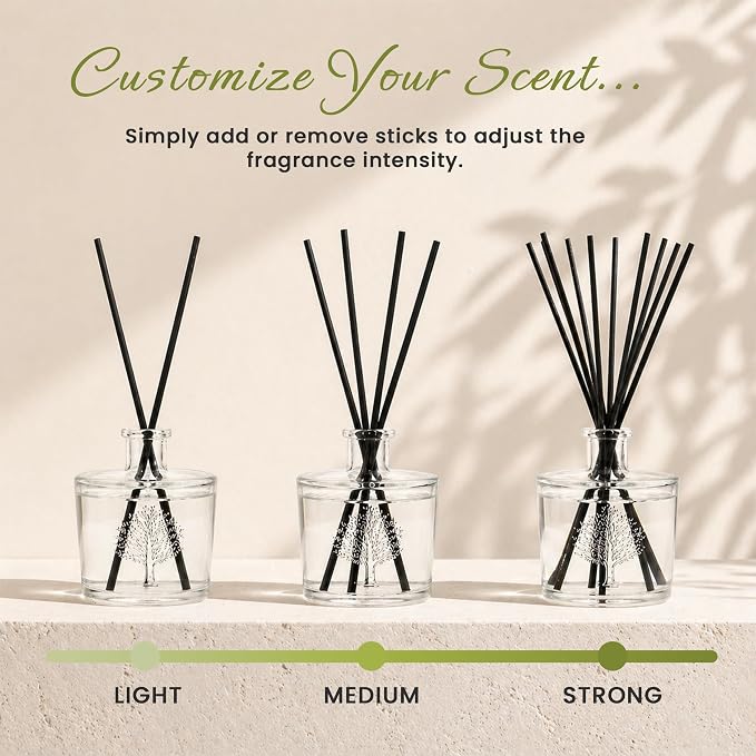 Wavertree & London Natural Frangipani & Gardenia Scented Reed Diffusers Set - Lasting Aromatherapy Air Freshener Diffuser with Sticks for Home & Office, 250ml Scented Diffuser with 6 Months Scent Life