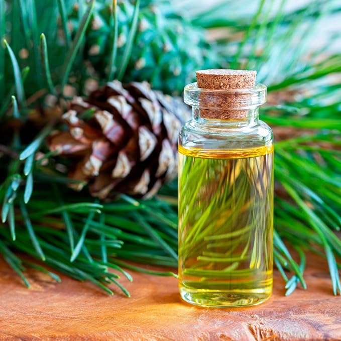 Set Forest Magic - Organic Essential Oils - Scotch Pine + Juniper + Silver Fir - 100% Pure and Natural Undiluted Aromatherapy Stress Relief Fresh Pine Resinous Aromas (3pcs x 10ml)