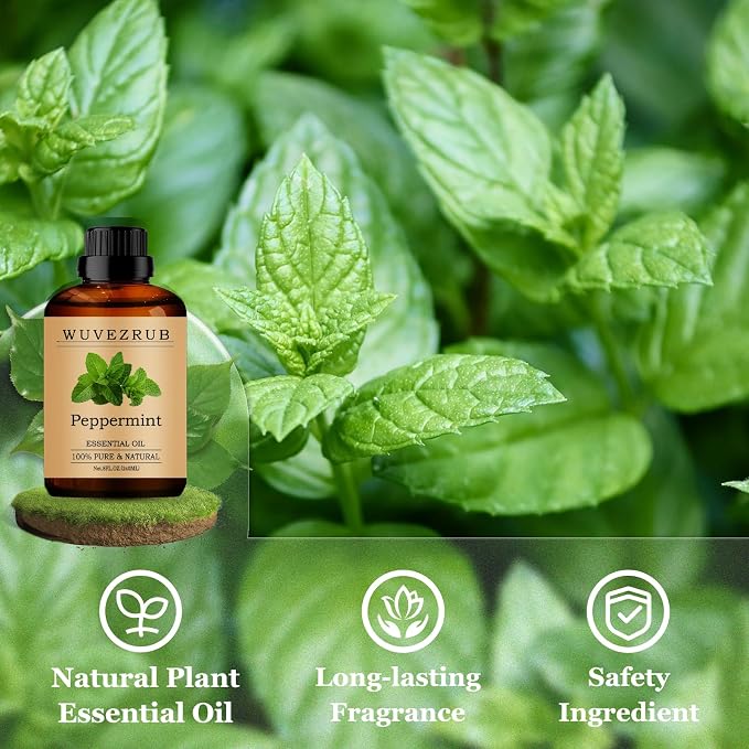 Peppermint Essential Oils 240ML, Pure Peppermint Essential Oil for Aromatherapy Diffuser - 8 Fl Oz