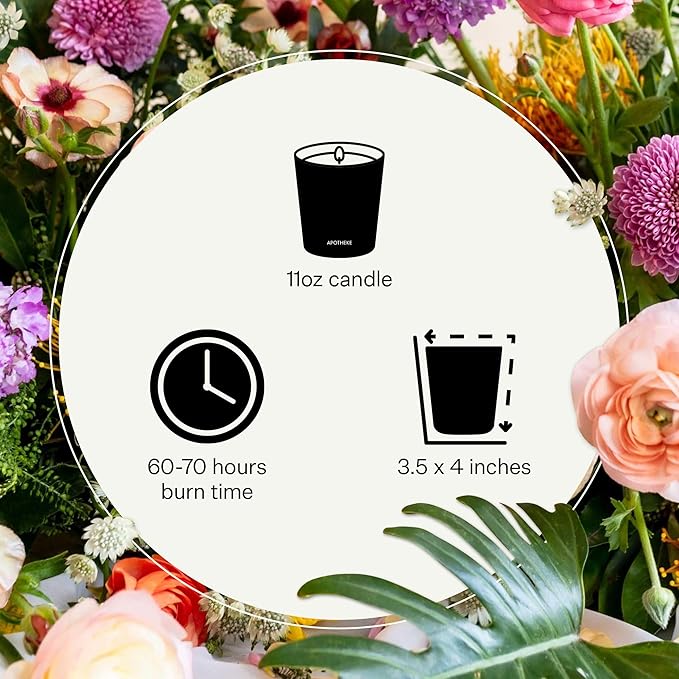 Apotheke Signature Scented Candles for Home, White Vetiver - 10.5 oz - Soy Wax, Non Toxic, Large Jar White - Luxury Candle Gifts for Women & Men - Sandalwood, Eucalyptus, and Vetiver