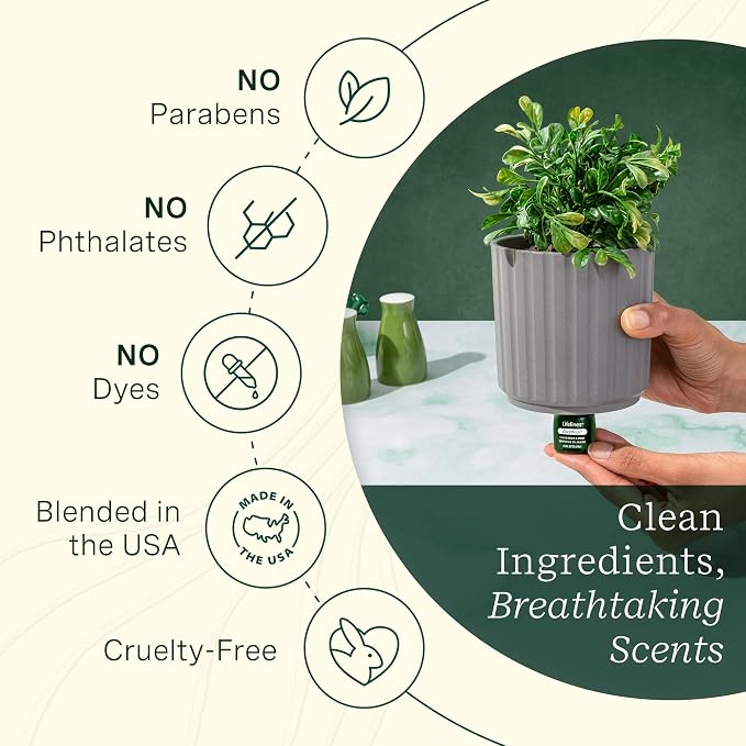 ClickWick Essential Oil Blends for Lifelines Diffusers, 3-Pack Walk in The Woods Set - Essential Oil Blend Refill for Candle, Plant & Shower Aromatherapy Diffuser - Fragrance for Diffusers