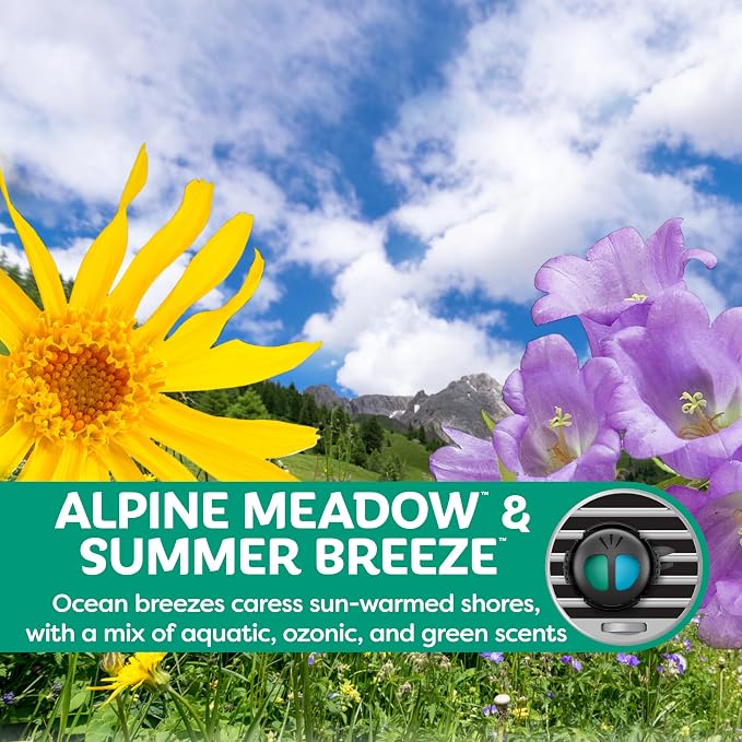 Refresh Your Car! Air Freshener (Alpine Meadow/Summer Breeze Scent, 2 Pack)