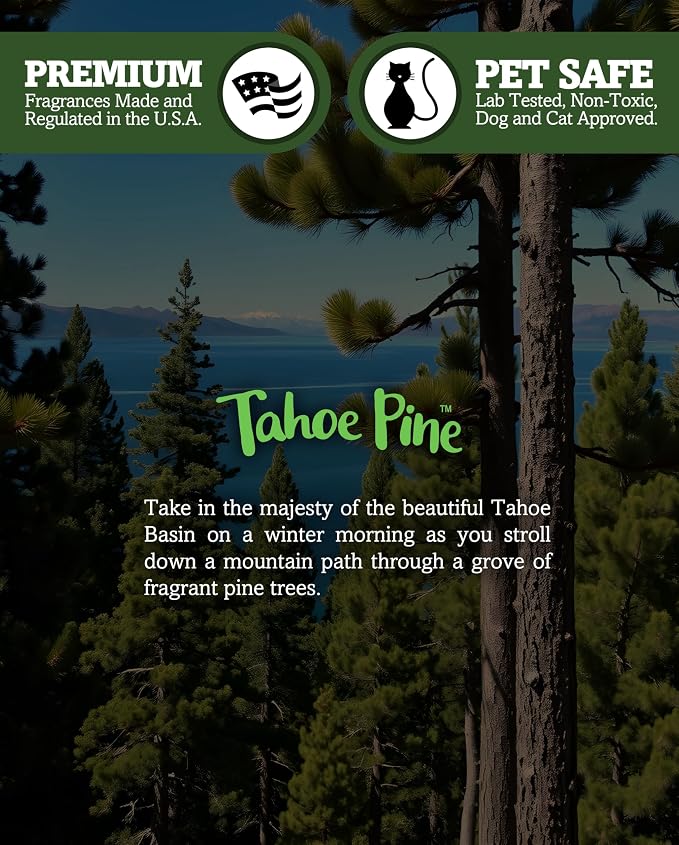 Tahoe Pine Soy Votive Candles - Scented with Essential & Natural Oils - 6 Green Natural Votive Candle Refills - Fresh & Clean Collection