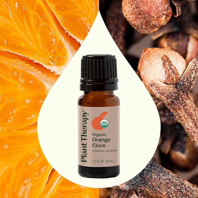 Plant Therapy Organic Orange Clove Essential Oil Blend for Diffuser 10 mL (1/3 oz) Naturally Energizing, Naturally Freshens the Air with Citrus & Spice Great Addition to DIY Household Cleaners
