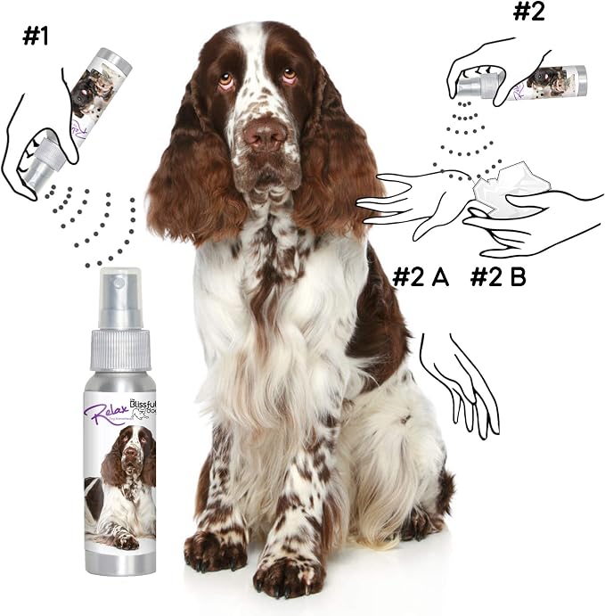 The Blissful Dog Springer Spaniel Relax Roll-ON Aromatherapy for Dogs - Anxiety Relief for Dogs