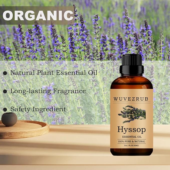 Hyssop Essential Oils, 30ML Pure and Natural Essential Oil for Aromatherapy Diffuser - Hyssop / 1 Fl Oz