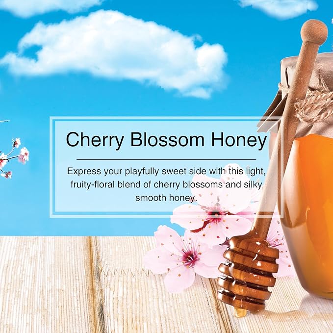 LITTLE TREES Car Air Freshener | Hanging Paper Tree for Home or Car | Cherry Blossom Honey | 6 Pack