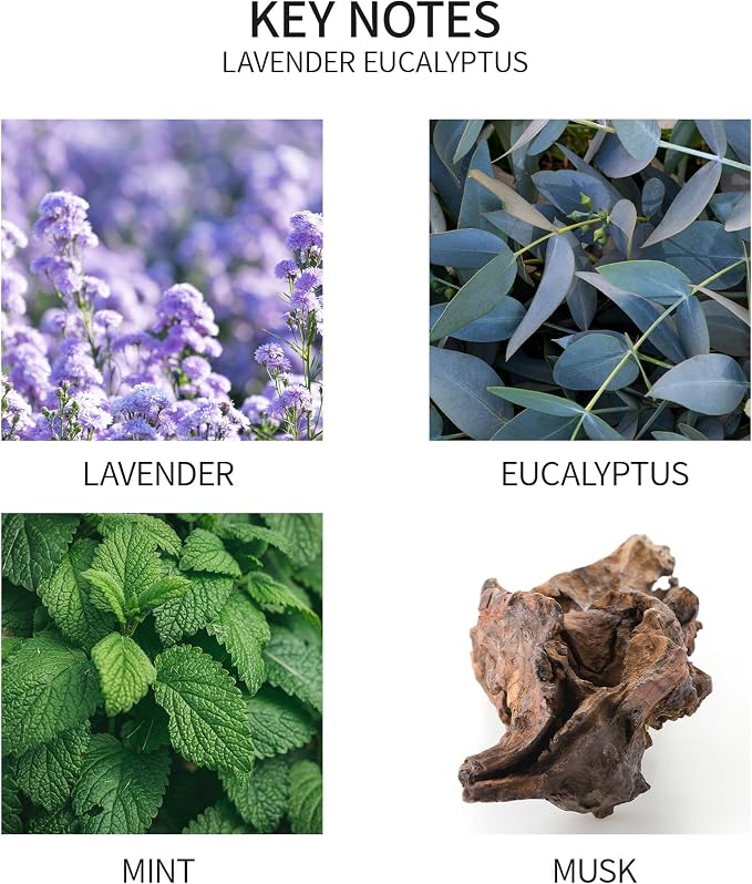 Airkeep Reed Diffuser Oil Refill with Diffuser Sticks, 6.76 Fl Oz(200ml) Lavender Eucalyptus Cotton Scented Oils, Aroma Therapy, Home Fragrance & Air Freshener, Office Décor, Decoration