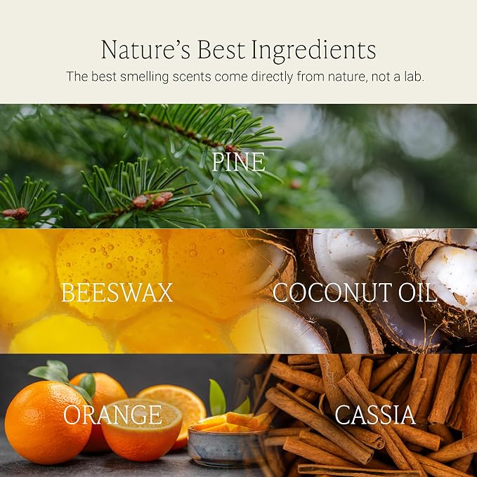 Fontana Candle Co Wood Wick Beeswax Jar Candle, Citrus Peel & Pine – Made Safe with Coconut Oil & Pure Essential Oils – 35+ Hrs Clean Burn, Long Lasting and Non-Toxic Candles for Home & Room Decor