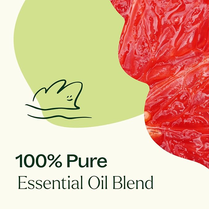 Plant Therapy Brain Aid Essential Oil Blend 30 mL (1 oz), 100% Pure & Undiluted, Aromatherapy for Focus, Concentration & Mental Clarity