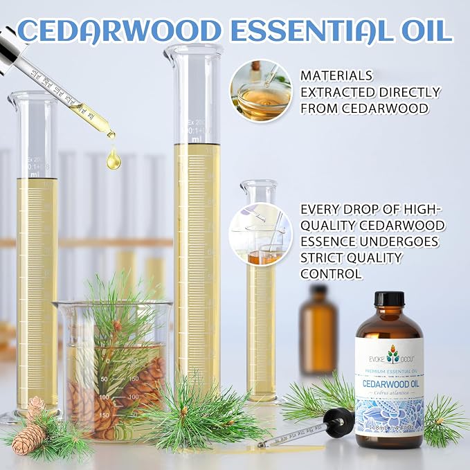 EVOKE OCCU Cedarwood Essential Oil for Air Freshening, Hair Care, Add to Spray Diffuser Conditioner - 4 Fl Oz