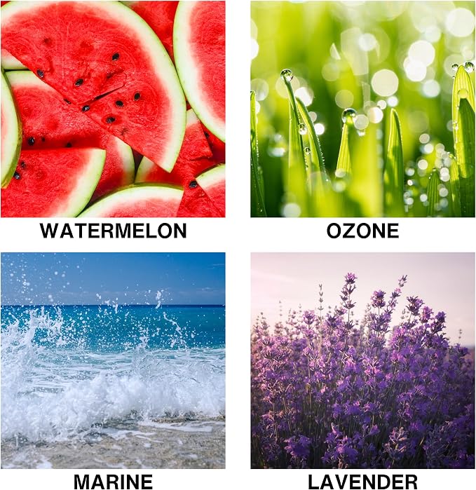 Oasis Drift Scent Luxury Reed Diffuser – Home Fragrance Diffuser with Lavender, Marine, and Watermelon – Long-Lasting Scent for Bathroom, Bedroom, or Living Room – 150ml