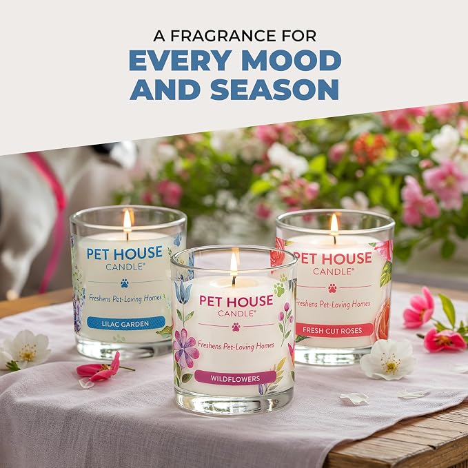 One Fur All Pet House Scented Candles, Long Lasting, Clean Burning, Pet Friendly Candles Mandarin Sage, 2 Pack