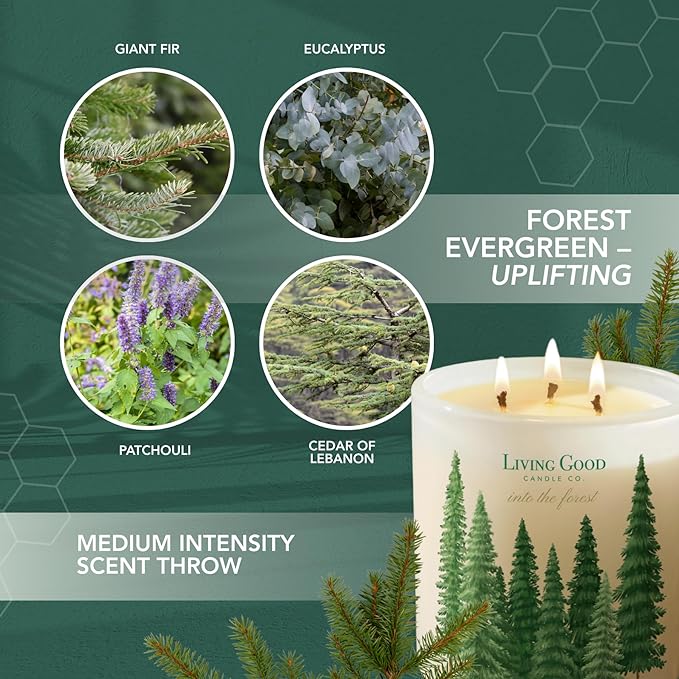 Into The Forest – Pine & Eucalyptus Essential Oils – Pure Beeswax Candle – Fresh, Calming Aromatherapy for Stress & Anxiety Relief – 90+ Hour Burn – Inspired by the Pacific Northwest - 15 Oz