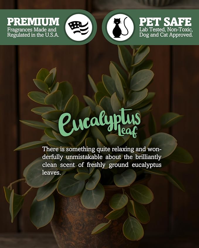 Eucalyptus Leaf Soy Votive Candles - Scented with Essential & Natural Oils - 6 Green Natural Votive Candle Refills - Fresh & Clean Collection