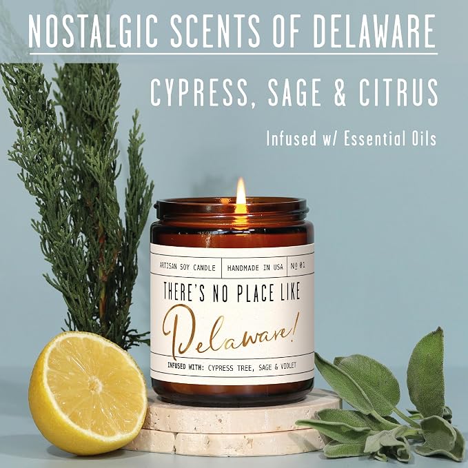 Delaware Gifts, Delaware Decor for Home - 'There's No Place Like Delaware Candle, w/Cypress, Sage & Citrus I Delaware Souvenirs I Delaware State Gifts I 9oz Jar, 50Hr Burn, USA Made