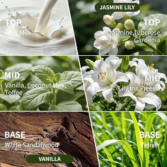 Reed Diffuser Set of 2, 4 fl oz Jasmine Lily & Vanilla Cream Scent Diffuser with 20 Sticks, 180 Days Long Lasting Elegant Home Fragrance for Bathroom Bedroom Office Decor Air Fresh