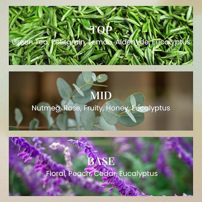 M&SENSE Sage Eucalyptus Candles for Home Scented, 2 Wick 12.7oz Soy Wax Candles 70 Hours Long Burning,Non Toxic Candles Gift for Stress Relief, Meditation, Yoga